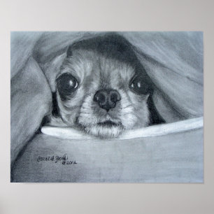 Pôster Tempo do afago do qui