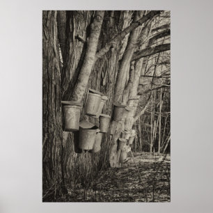 Pôster Tempo do xarope de bordo