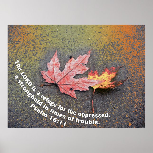 Pôster Tempos de Problemas (Frente)