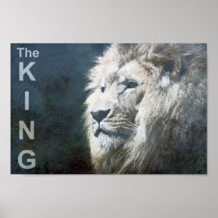 Poster Tendência Personalizada Lion Modelo Nature Animal 