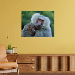 Poster Tender Baboon Bond