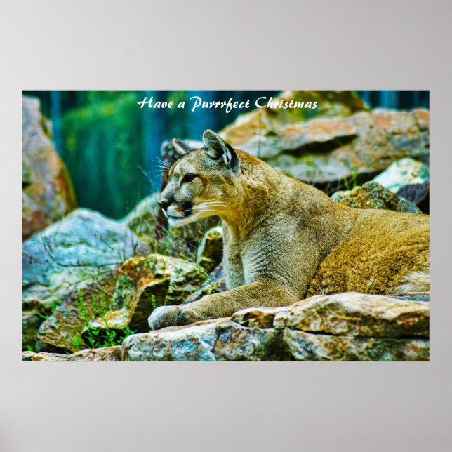 Poster Tenha um Natal Puro (Frente)