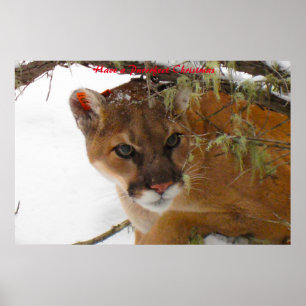 Poster Tenha um Natal Puro