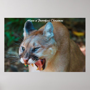 Poster Tenha um Natal Puro