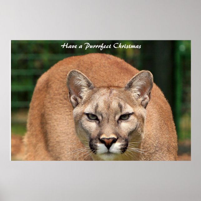 Poster Tenha um Natal Puro (Frente)