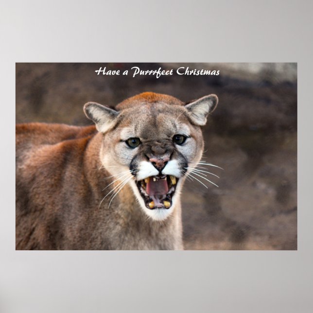 Poster Tenha um Natal Puro (Frente)