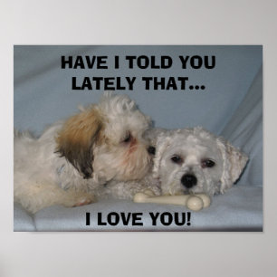 PÔSTER TENHO EU DISSE-LHE ULTIMAMENTE ISSO… EU AMO…