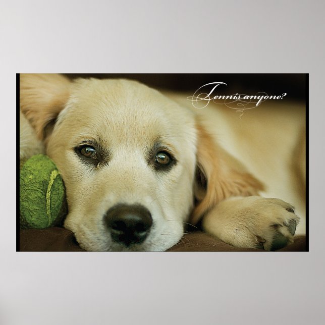 Pôster Tênis alguém? (Frente)