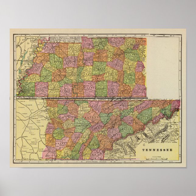 Pôster Tennessee 3 (Frente)