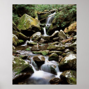 Pôster Tennessee, Parque Nacional das Grandes Montanhas F