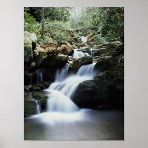 Pôster Tennessee, Parque Nacional Great Smoky Mountains 3