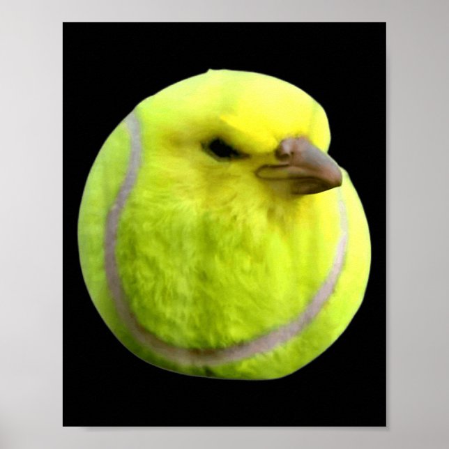 Poster Tennis Bird Meme Round Budgie Tennis Ball  (Frente)