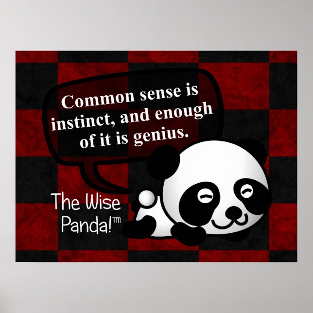 Pôster Ter bom senso te torna um gênio (Frente)