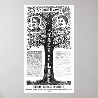 Pôster Terapêutica Remedio Hudyan - 1897