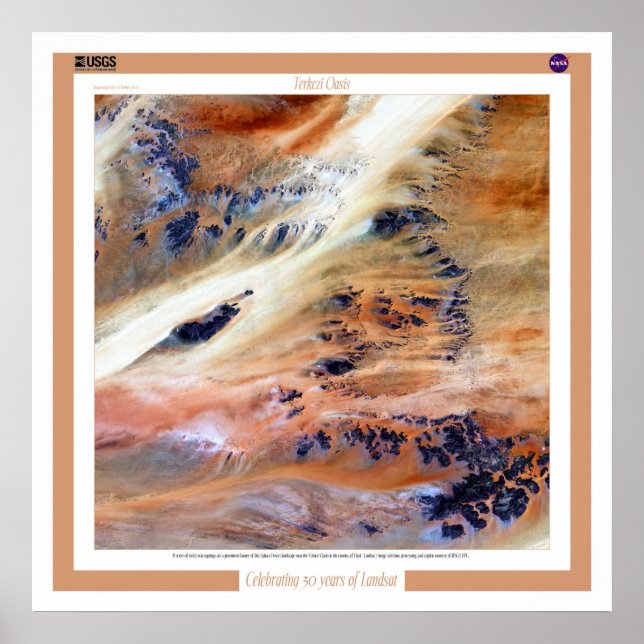 Poster Terkezi Oasis (Frente)