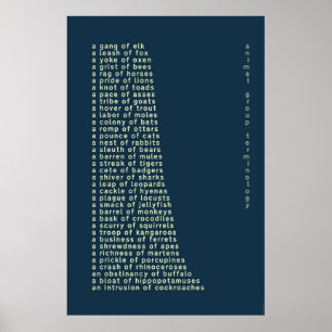 Poster Terminologia do Grupo Animal