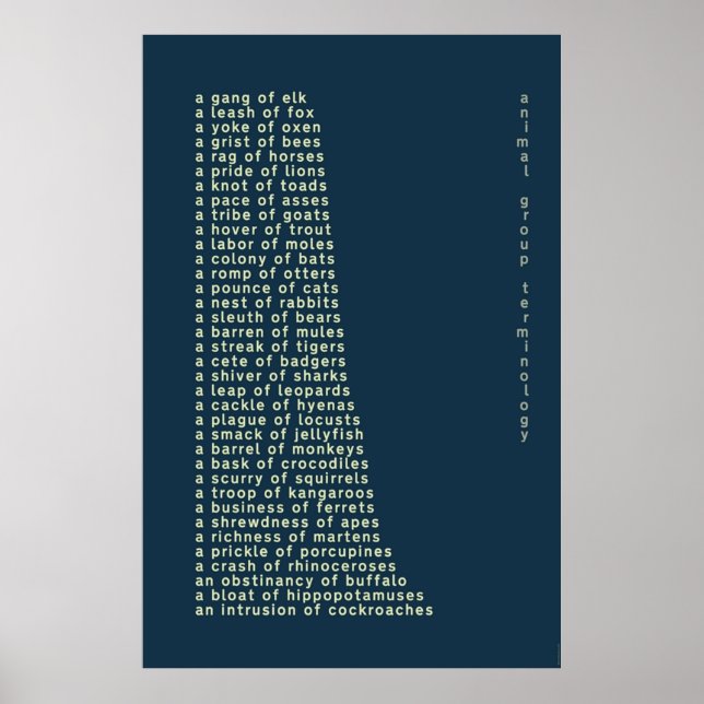 Poster Terminologia do Grupo Animal (Frente)