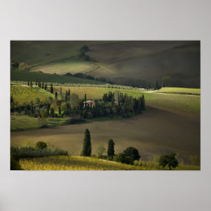 Pôster Terra agrícola ao redor de Montepulciano, Toscana,