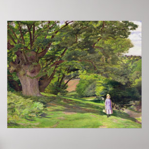Poster Terra comum de Hayes, 1852-53 (óleo em canvas)