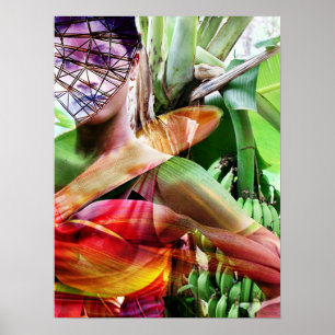 Poster terra da fruta do vôo da fruta