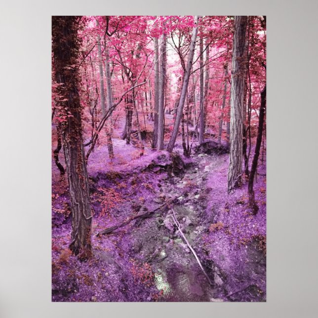 Poster Terra das Maravilhas Rosa (Frente)