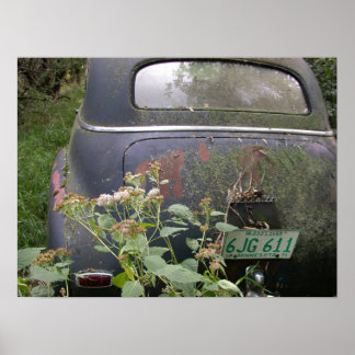 Pôster Terra de 10.000 Lagos