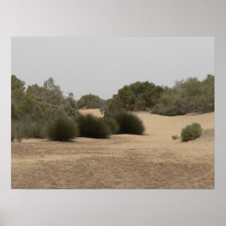 Pôster Terra do deserto 1