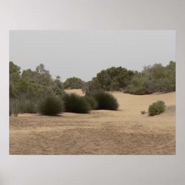 Pôster Terra do deserto 1 (Frente)