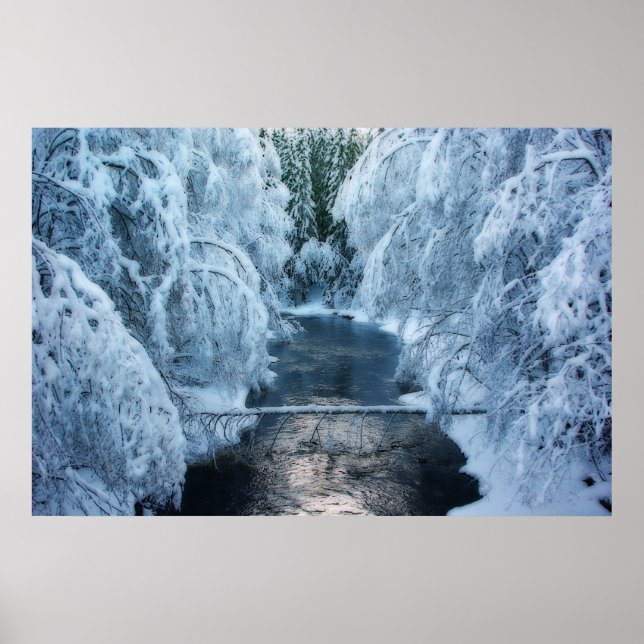 Pôster Terra Dos Elfos (Frente)