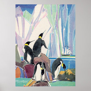 Poster terra dos pinguins