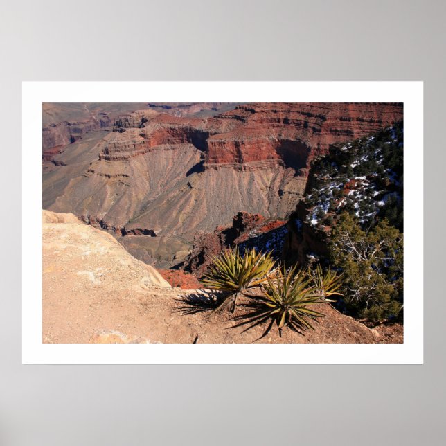Pôster Terra em camadas (Frente)