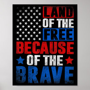 Poster Terra Livre Por Causa Da Bandeira Americana Corajo
