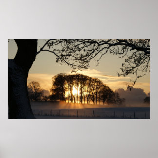 Poster Terra maravilhosa do inverno