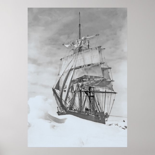 Pôster Terra Nova (Frente)