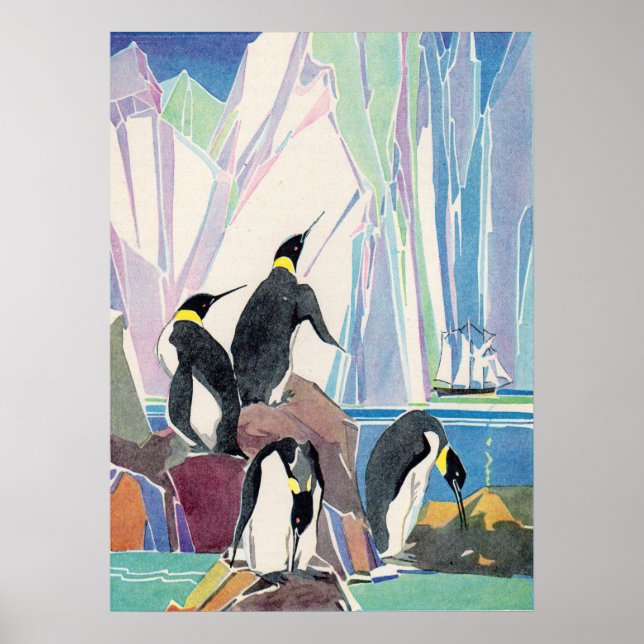 Poster terra pingueira (Frente)