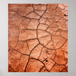 Poster Terra seca