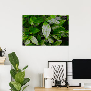 Poster Terra Verde,