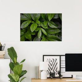 Poster Terra Verde,