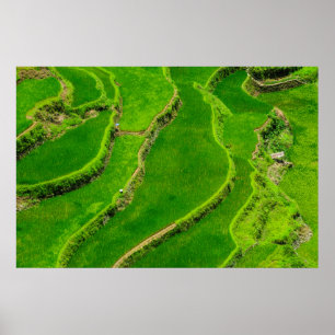 Poster Terraços de Arroz