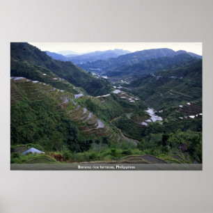 Poster Terraços do arroz da banana, Filipinas