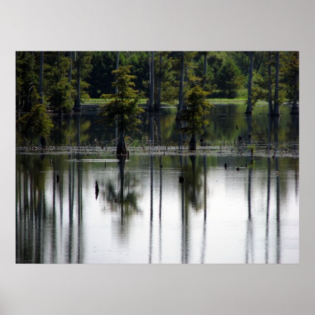 Pôster Terras dos pântanos (Frente)