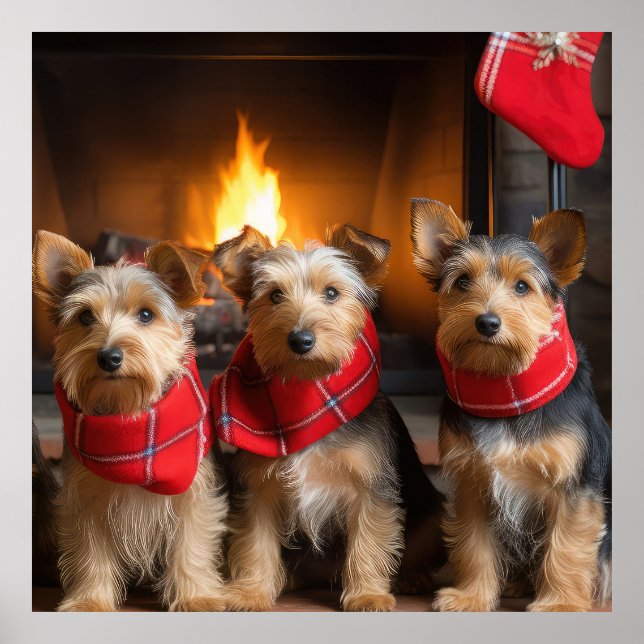 Poster Terrier Australiano junto à Lareira Natal (Frente)