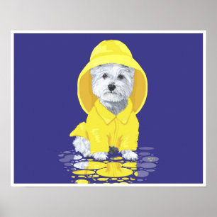Pôster Terrier Branco do West Highland April Showers