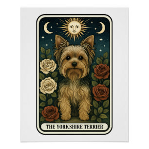 Pôster Terrier de Yorkshire