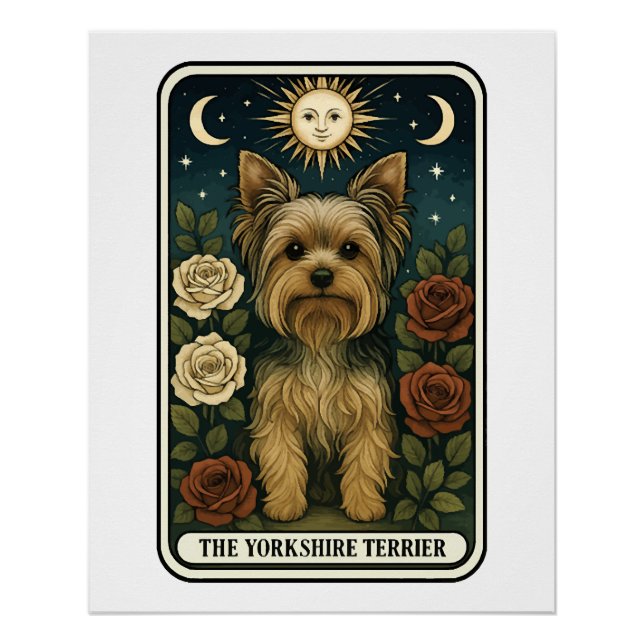 Pôster Terrier de Yorkshire (Frente)