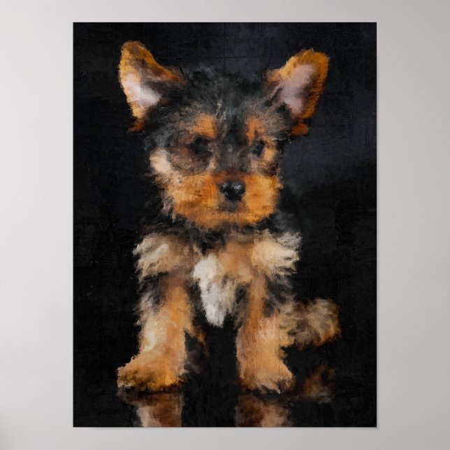 Poster Terrier de Yorkshire (Frente)