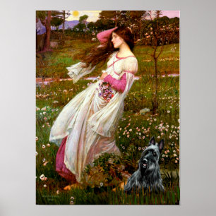 Poster Terrier Escocês 3 - Windflowers