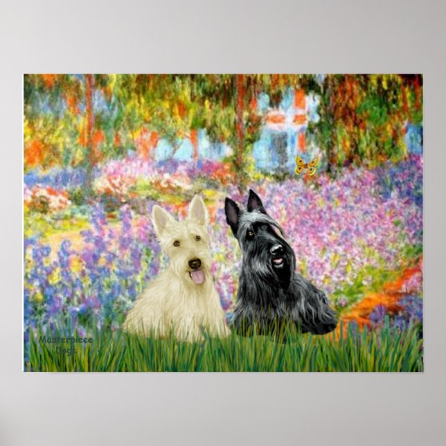 Pôster Terrier Escocês (dois PB) - Jardim (Frente)