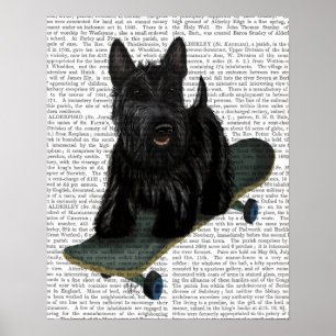 Poster Terrier escocês e skate