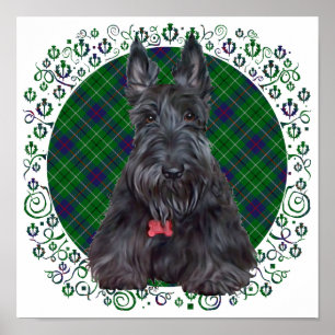 Pôster Terrier Escocês em Tartan